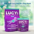 thumbnail image 7 of Lucy Pet Products Hip to Be Square Chicken & Pumpkin Dog Treats 6 oz, 7 of 7