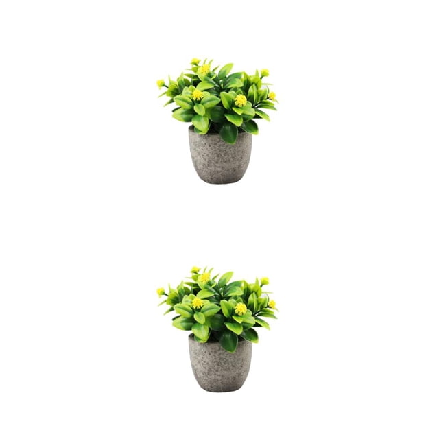 kurtrusly Realistic Artificial Succulent Low Maintenance Elegant Easy To Clean Artificial Money Tree In Pot newyellowbabysbreath 2Set