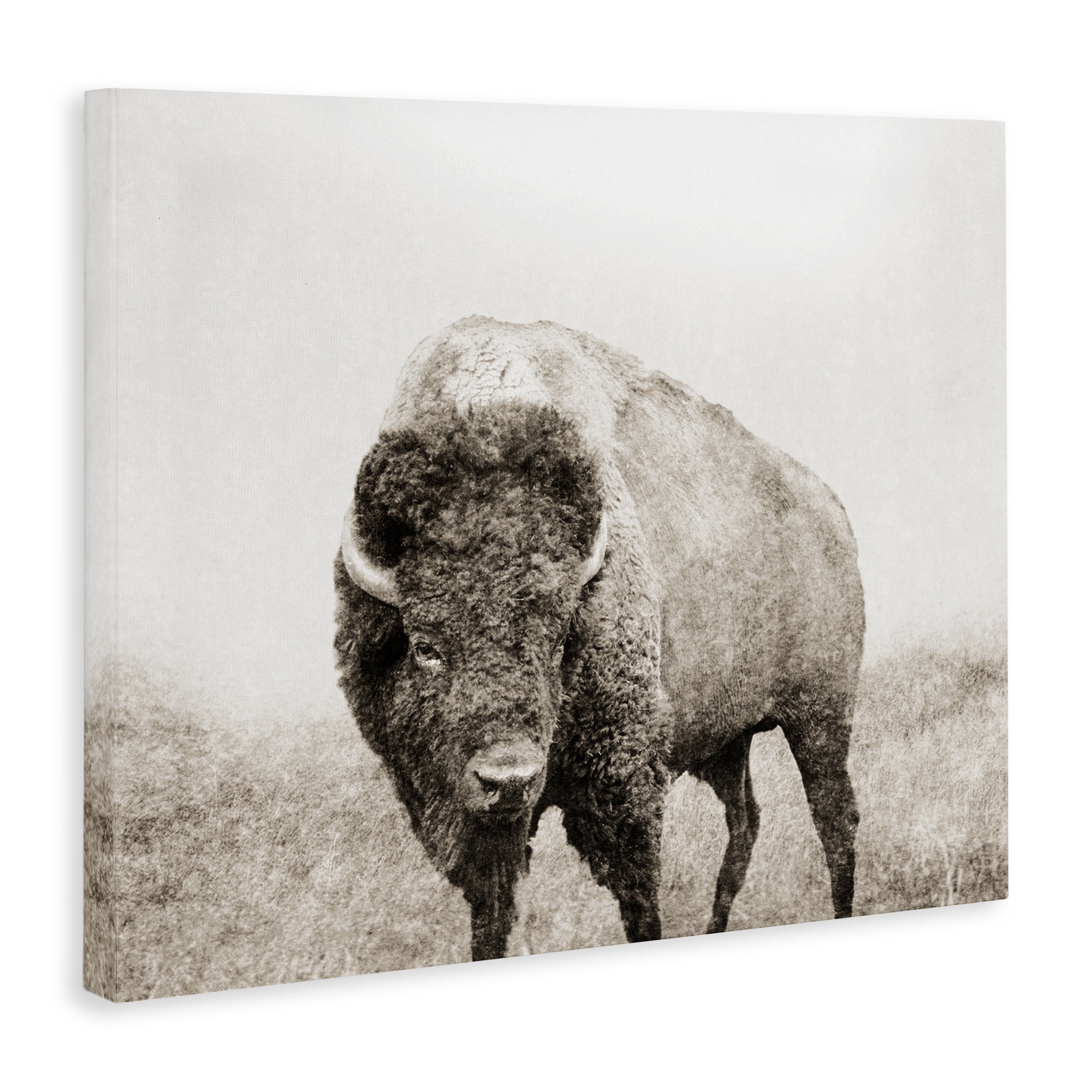 Stupell Industries Bison Distressed Portrait Animals & Insects Photography Gallery Wrapped Canvas Art Print Wall Art, 40 x 30