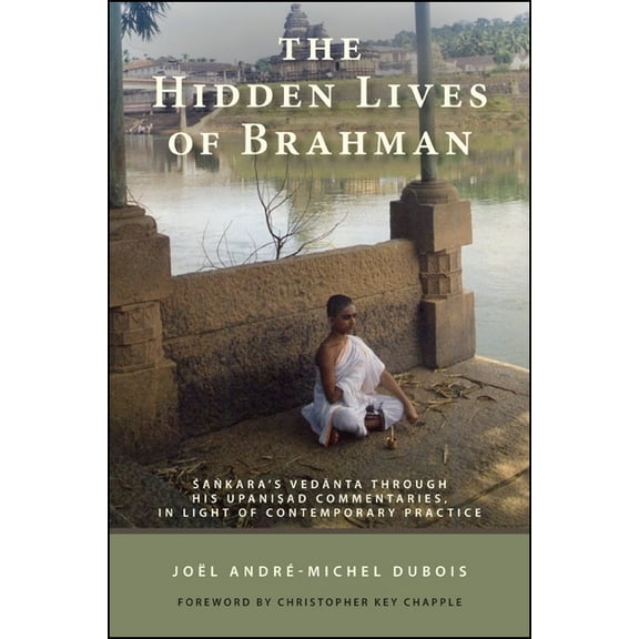 SUNY Series in Religious Studies The Hidden Lives of Brahman: Śaṅkara's Vedānta through His Upaniṣad Commentaries, in Light of Cont, (Paperback)