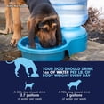 thumbnail image 5 of Cuenco de agua Petmate Big Blue Outdoor 18.9L para mascotas, 5 of 5