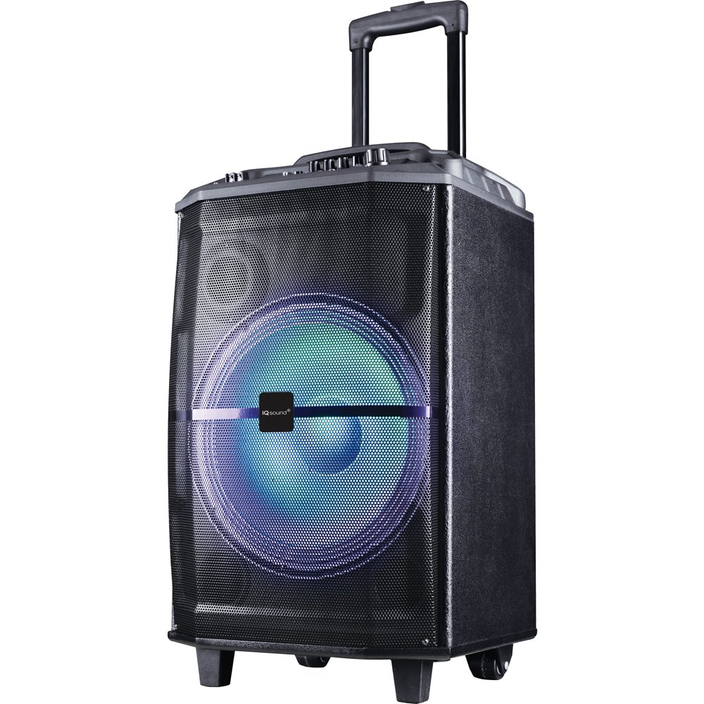 12" Professional Bluetooth Speaker