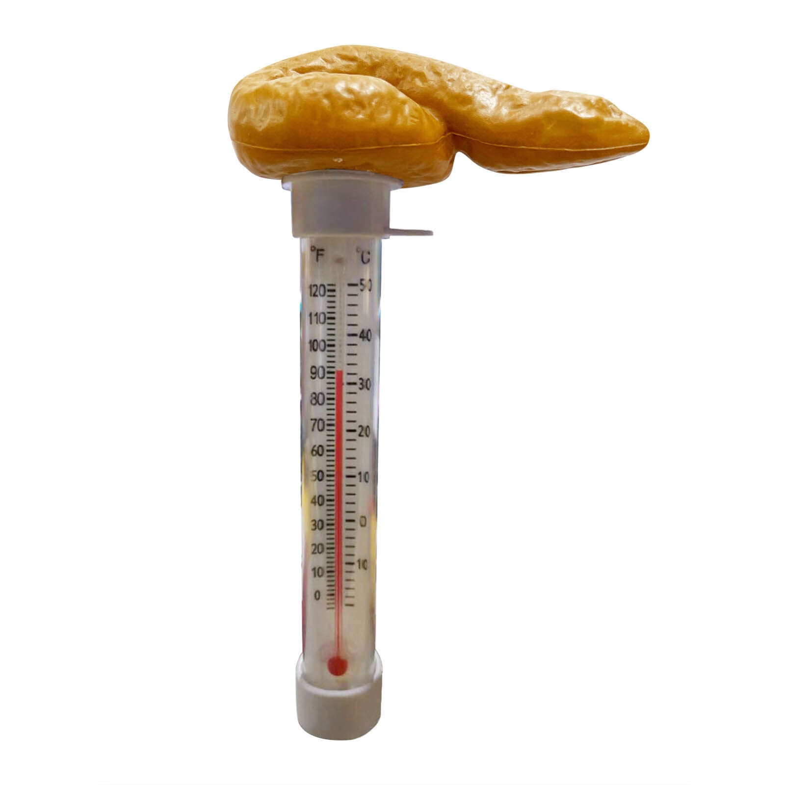 Fomlatr1 Funny Pool Thermometer Floating Poop Prank Pool And Tub