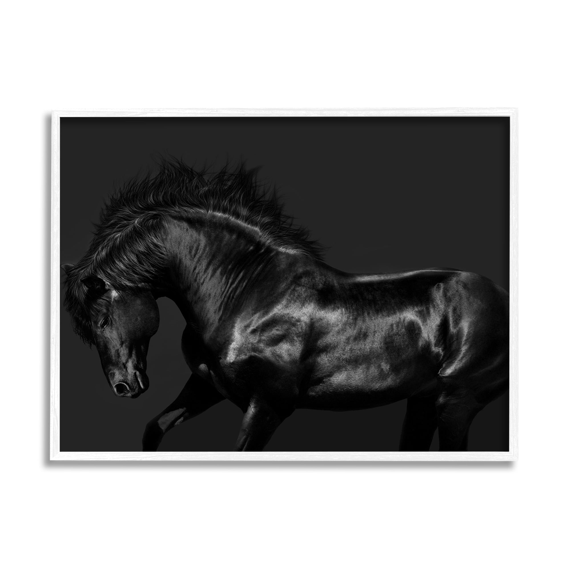 Stupell Industries Modern Black Horse Photography Wild Stallion Monochromatic, 20 x 16,Design by Samantha Carter