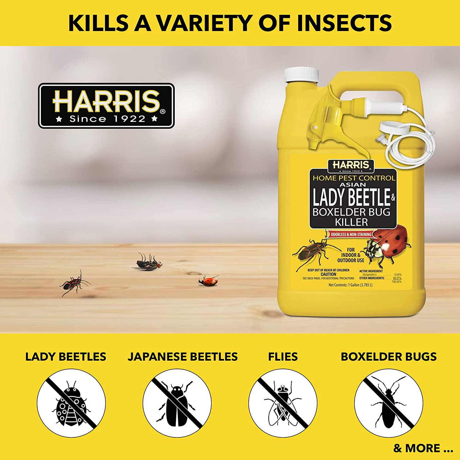Harris Home Pest Control Insect Killer Liquid - Insecticide - 1 gal — Residential Use, Standard Application