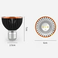 thumbnail image 2 of Reptile Light Creative Reptile Sun Lamp Sun Basking Lamp Amphibian Lamp, 2 of 10