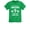 Green, variant on Tstars Unisex 'Awesome 9 Year Old' T-Shirt - Perfect Gift for 9th Birthday - Kid's Party Wear - Unique Birthday Celebration Tee - Humorous Youth Shirt for Boys and Girls - Cotton Kids' Apparel
