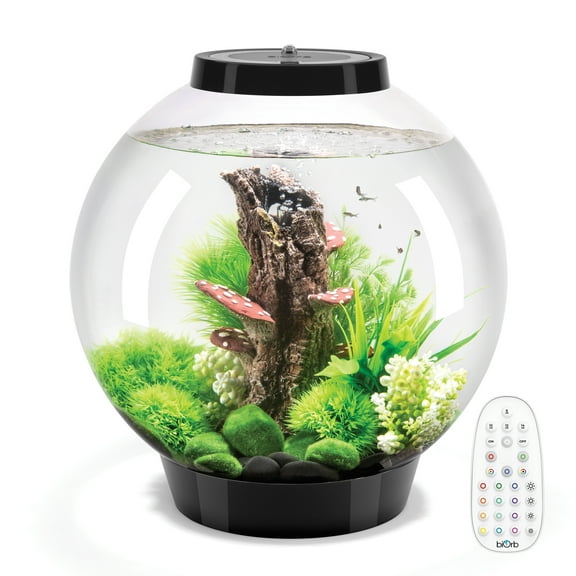 biOrb CLASSIC 30 Aquarium with MCR Light - 8 Gallon, Black
