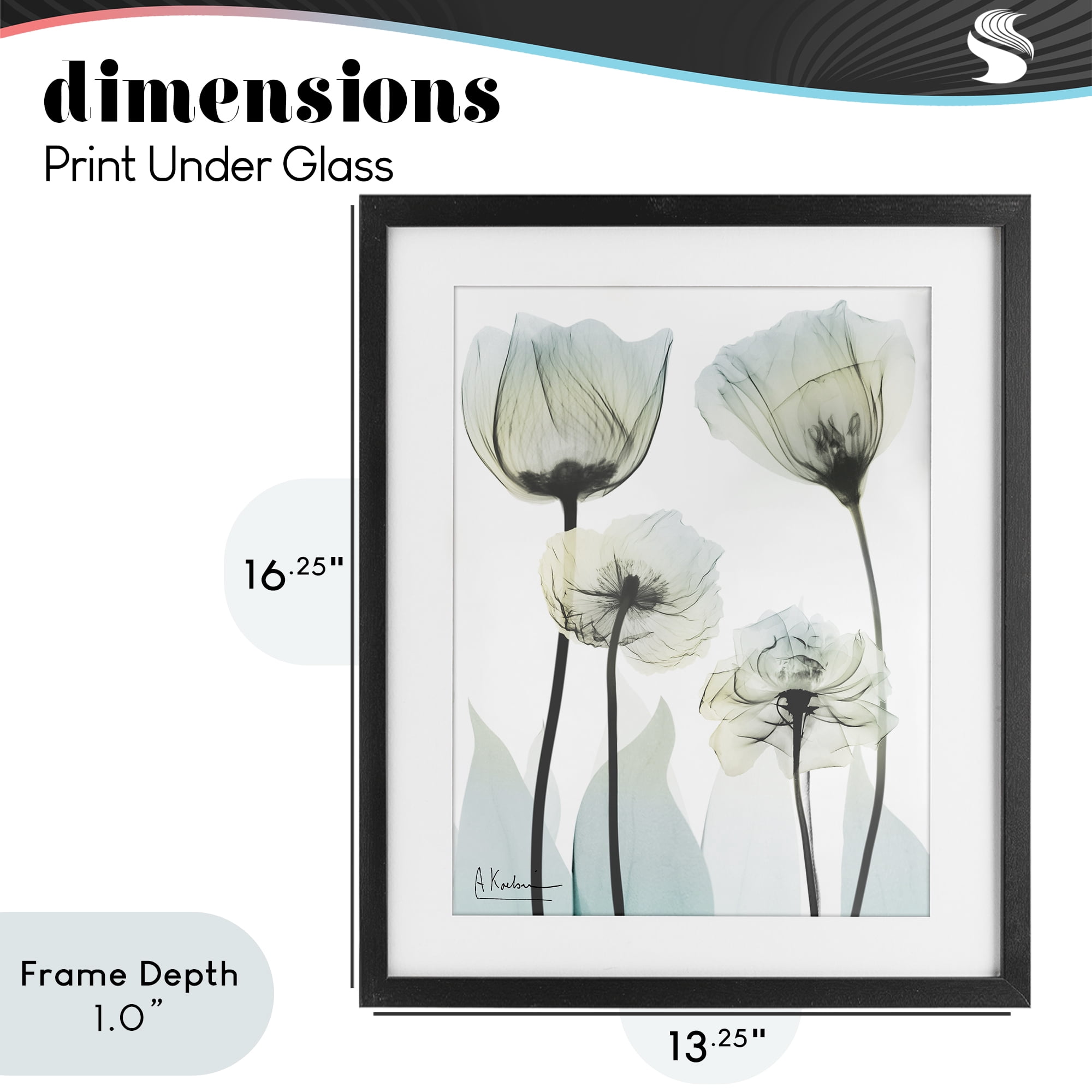 Stupell Industries Floral Luxury Of Creation Black Framed Print Under Glass, design by Albert Koetsier
