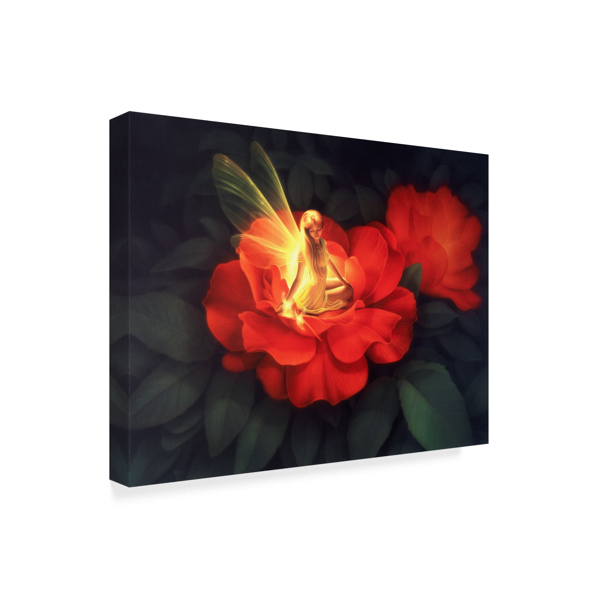 Trademark Fine Art 'Night Light' Canvas Art by Kirk Reinert