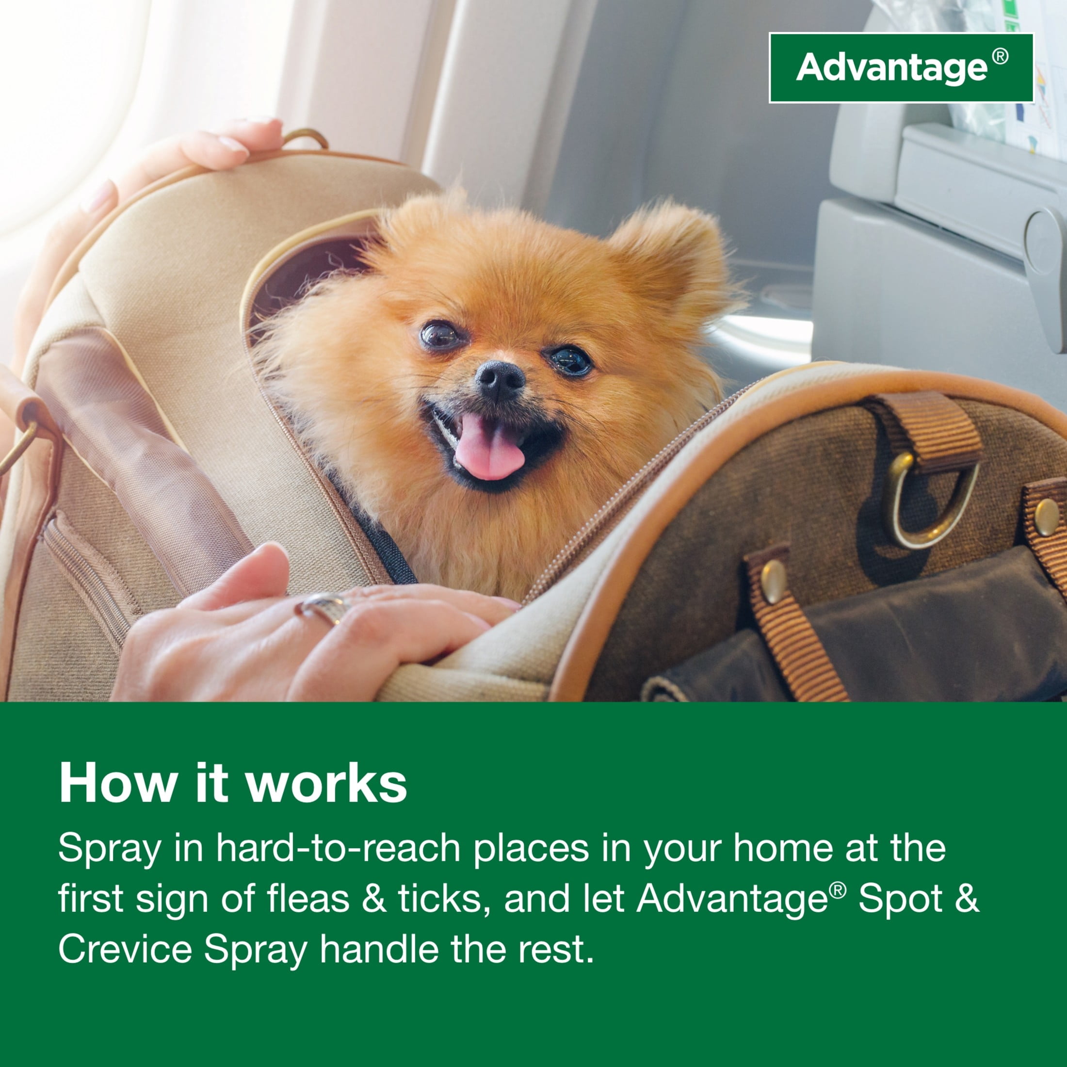 Advantage Carpet & Upholstery Spot Spray, Kills Fleas & Ticks & Bedbugs, 24 oz.