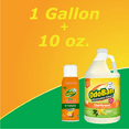 thumbnail image 2 of OdoBan Aroma Eliminator Set, 10 Ounce 360-Degree Continuous Spray Natural Oil Real Citrus Air Freshener and 1 Gallon Multipurpose Disinfectant Cleaning Concentrate, Orange Scent, 2 of 6