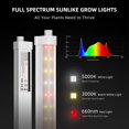 thumbnail image 2 of Luces LED de cultivo Spider Farmer, 1 pie, espectro completo, 40 W, paquete de 4 unidades, 2 of 9