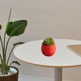 thumbnail image 2 of Pretyzoom Red Resin Succulent Plant Pot Sturdy Decorative Flower Pot for Home and Office, 2 of 5