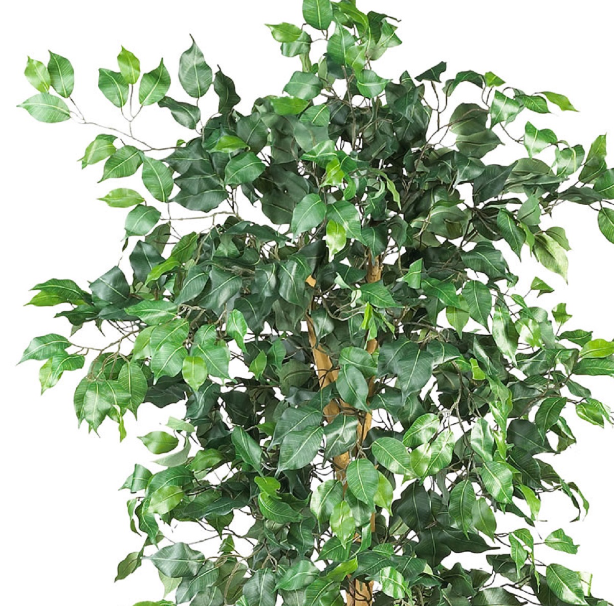 Nearly Natural 6ft. Ficus Artificial Tree - image 2 of 6