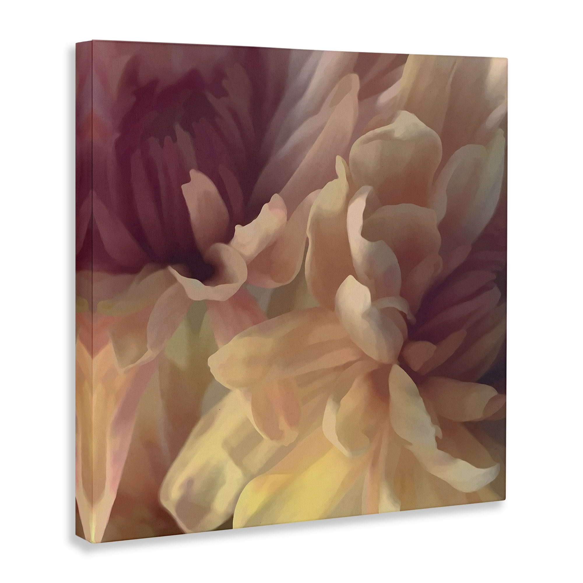Stupell Industries Curling Dahlia Petals Botanical & Floral Painting Gallery Wrapped Canvas Art Print Wall Art, 36 x 36