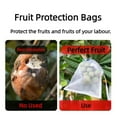 Nksudet Closure Bags & lids & Boxes Fruit Bags 2024 Upgraded Garden