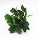 thumbnail image 1 of Arbustos artificiales Plantas Seda sintética Schefflera Arbustos Real Touch Fake 2pcs, 1 of 5
