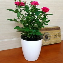 FUTUREORYY Self Watering Planting Pots White Plastic 3Pcs 4.3x4.3x3.9in