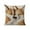 C, variant on Cute Animals Throw Pillow Covers 18 x 18 Inch Decorative Pillows Case Polyester Linen Outdoor Cushion Covers for Couch Sofa Bed Home Kids Room Decor
