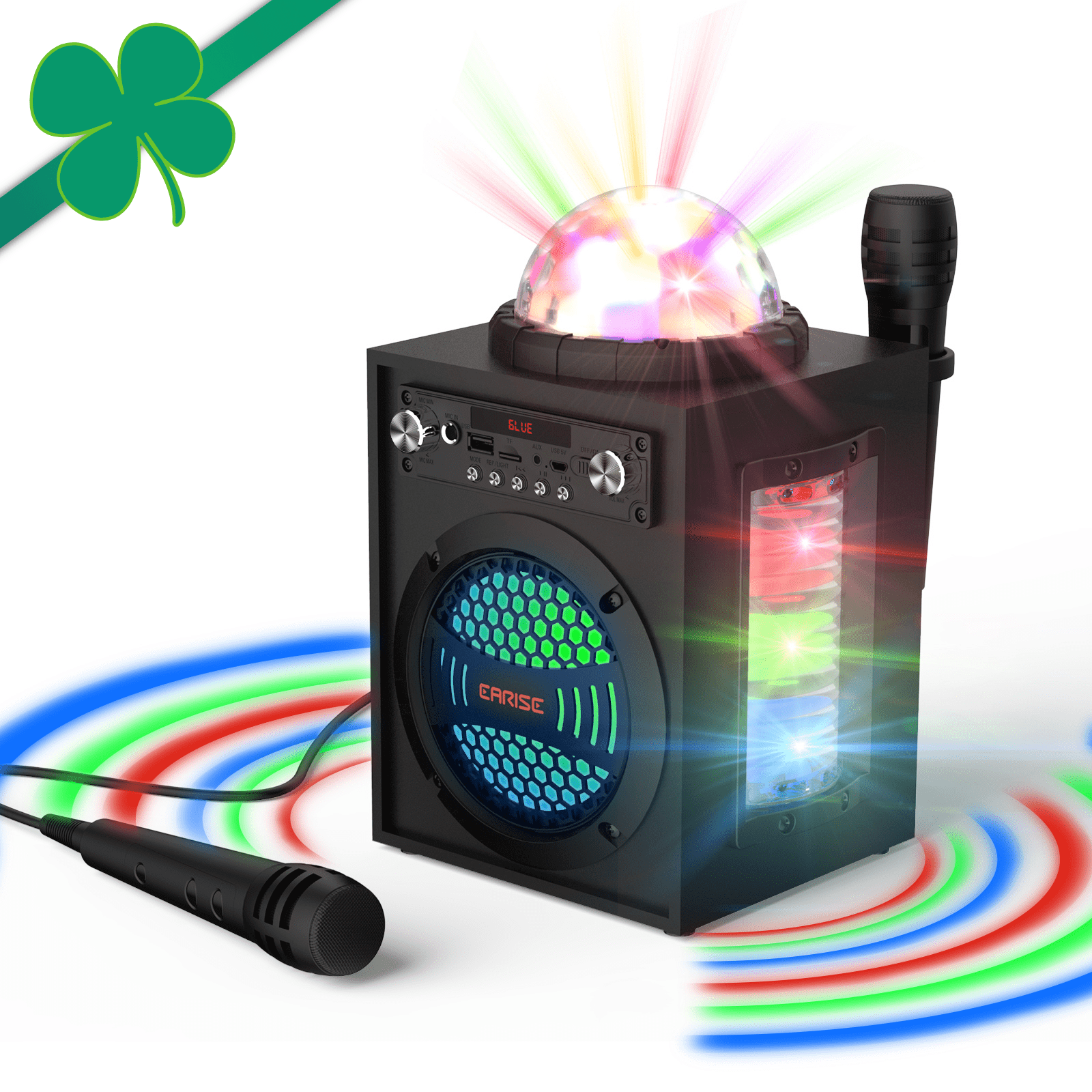 EARISE T12 Pro Portable Karaoke Machine for Adults and Kids, PA System