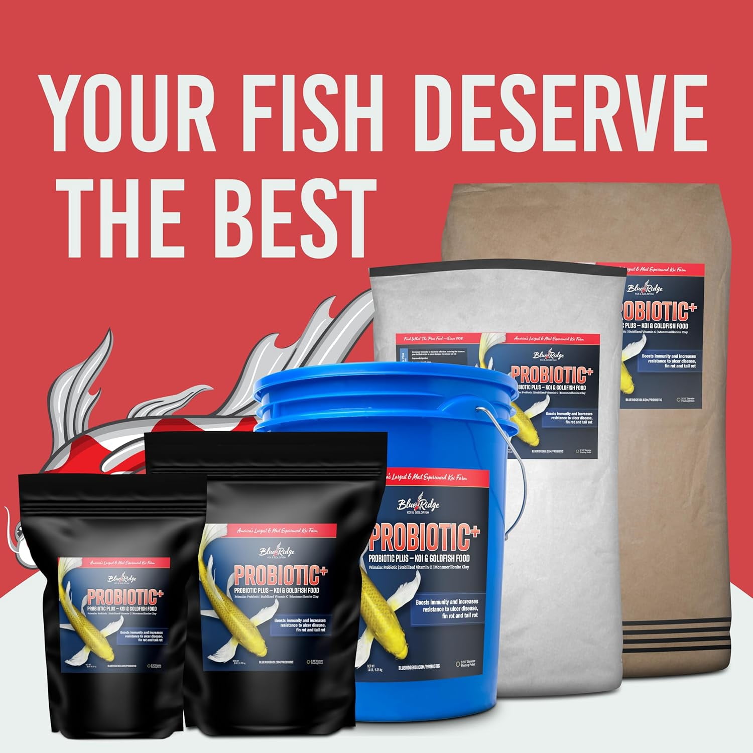 Blue Ridge Koi Fish Food 2lb - Koi Food 3/16” Probiotic Plus, Goldfish Food, Premium Fish Food for Ponds, Ponds Fish Food, Koi Food Fall and Winter Fish Food, Floating Pond Pellets