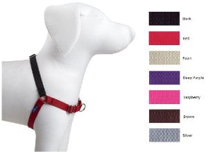easy walk dog collar