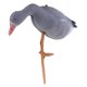 thumbnail image 2 of Señuelo de Cacería Animal Tamaño Natural Cuerpo Hueco Jardín Ornamento Comiendo Sunnimix Señuelo de caza de gansos, 2 of 8