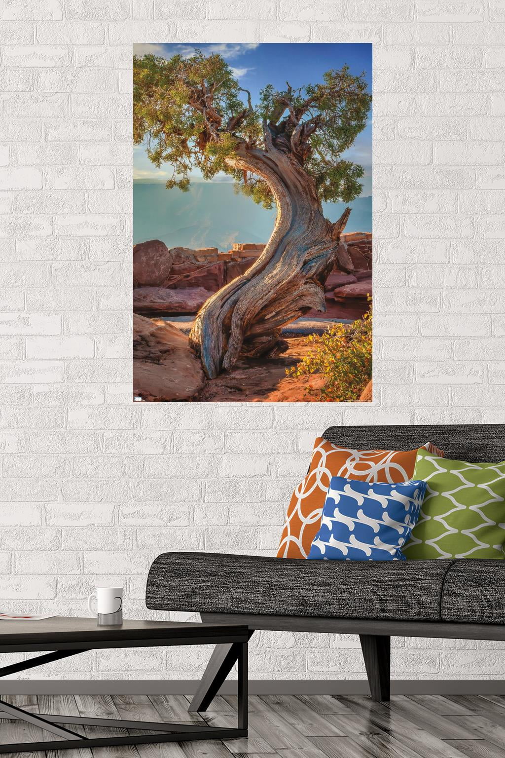 Beth Sheridan - Dead Horse Point Wall Poster, 22.375" x 34"