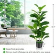 thumbnail image 2 of Gymax Artificial Tree 2-Pack Artificial Fiddle Leaf Fig Tree forIndoor & Outdoor, 2 of 10