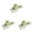 Green 3PCS, variant on Multipurpose Garlic Mincer And Garlic Crusher Easy Clean Garlic Dishwasher Sturdy Compact And Portable Design For Extracts More Paste Per Clove 2PCS Butter Vegetable Peelers for Kitchen Kitchen Small