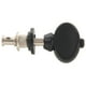 thumbnail image 4 of 8 Clavijas de Afinacion Pin para Ukulele Y Distintos Instrumentos - Negro, 4 of 5