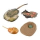thumbnail image 2 of Juego de de para ,Material didáctico del ciclo de del cangrejo animal,Cangrejo de animal de imaginación congnitiva para Zulema Juego de crecimiento de insectos para niños, 2 of 8