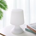 thumbnail image 3 of Provocative Atmosphere Night Lamp Couples Sex Lamp Color-changing Decorative Bedroom Night light USB Rechargeable Remote Controlling Night Lamp, 3 of 8