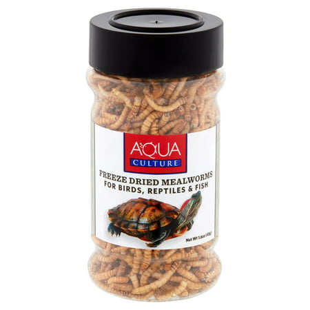 Aqua Culture Freeze-Dried Mealworms for Birds, Reptiles & Fish, 1.6
