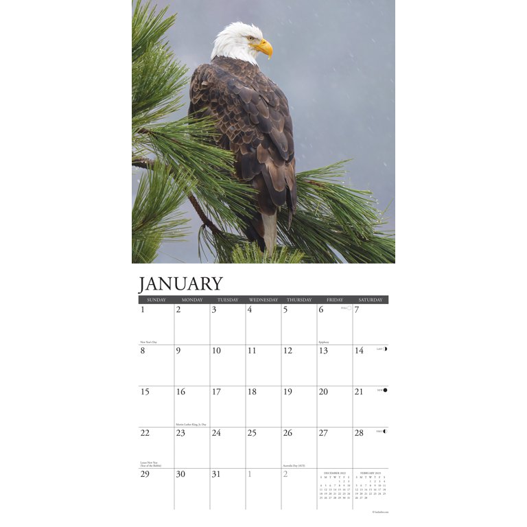 Eagles 2023 Wall Calendar - Walmart.com
