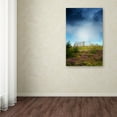 thumbnail image 3 of Trademark Fine Art "Nature's Blanket" Canvas Art by Philippe Sainte-Laudy, 3 of 3