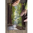 thumbnail image 3 of Muir Woods National Monument, California, Pathway (19x27 inches, Premium 500 Piece Jigsaw Puzzle for Adults and Family, Made in USA), 3 of 4