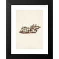 thumbnail image 2 of Mary Vaux Walcott 14x18 Black Modern Framed Museum Art Print Titled - Pyxie. Pyxidanthera Barbulata (1925), 2 of 5