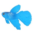 thumbnail image 1 of Decoración de acuario, divertido pez pequeño de silicona Artificial, adorno para acuario, pez Betta azul, 1 of 7