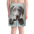 thumbnail image 3 of Cauagu Adorable Puppy Portrait Print Swim Trunks for Men,Youth Boys Swim Shorts Compression Liner Beach Shorts Boys' Swimming Shorts 7-20 Years Bathing Suit-Small, 3 of 7