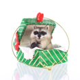 thumbnail image 1 of Conversation Concepts Boîte Cadeau Raton Laveur Ornement de Noël - Délicieux!, 1 of 2