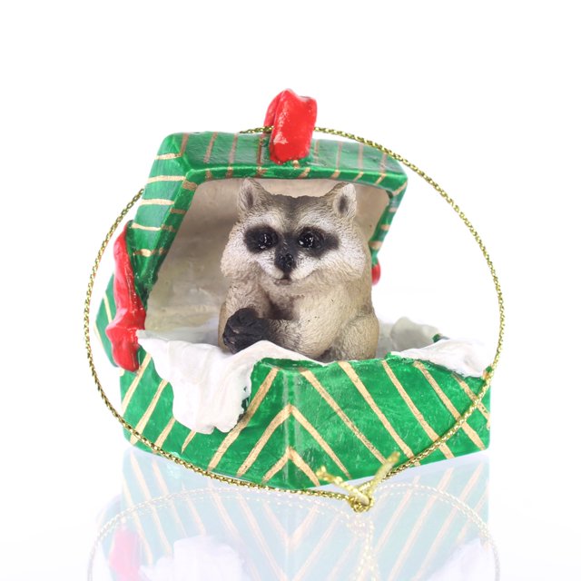 Conversation Concepts Raccoon Gift Box Christmas Ornament - Delightful!