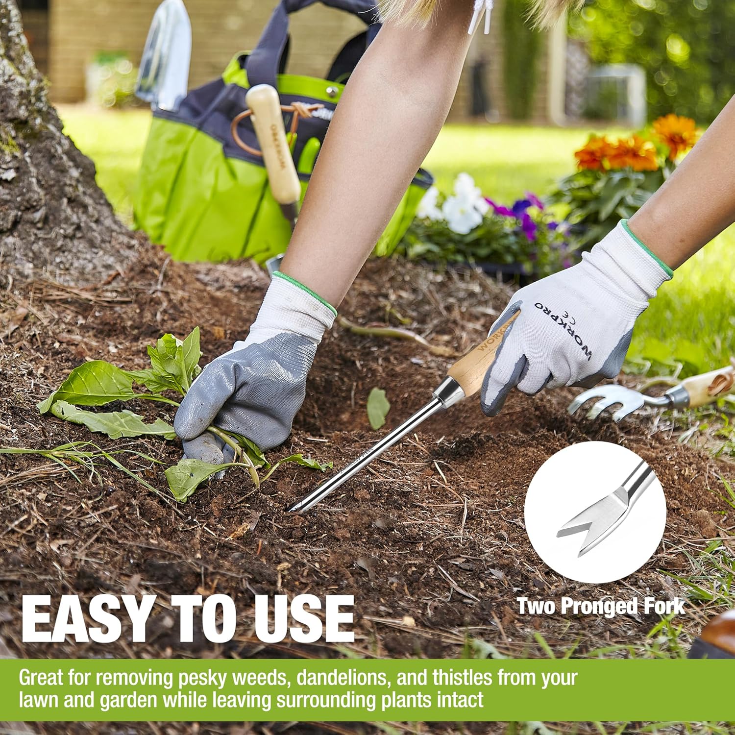 Cordless Grass Shear & Shrubbery Trimmer with Wood Handle - Lightweight Hedge Cutter for Lawn and Garden