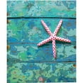 thumbnail image 2 of CafePress - Starfish And Turquoise Seashore Throw Blanket - Soft Fleece Throw Blanket, 50"x60" for All Ages, 2 of 4