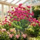 thumbnail image 1 of Flores artificiales para decoración exterior de patios en pack de 6 ramos de flores falsas para jardín en porche y decoración de bodas, 1 of 7