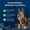 thumbnail image 4 of Blue Buffalo Wilderness Dry Cat Food, High-Protein & Grain-Free, Duck, 11-lb. Bag, 4 of 11