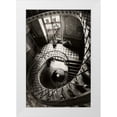 thumbnail image 1 of Frankba 17x24 White Modern Wood Framed Museum Art Print Titled - Carpe Diem, 1 of 4