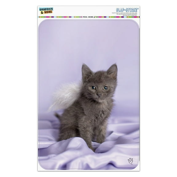 Domestic Shorthair Kitten Cat Angel Wings Purple Satin Home Business Office Sign