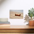 thumbnail image 2 of Chincoteague, Virginia, Wild Horses on Beach Birch Wood Wall Sign (6x9 Rustic Home Decor, Ready to Hang Art), 2 of 5